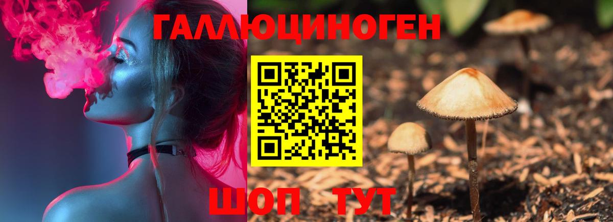 Амурск  Галлюциногенные грибы Psilocybe  Вход с VPN 